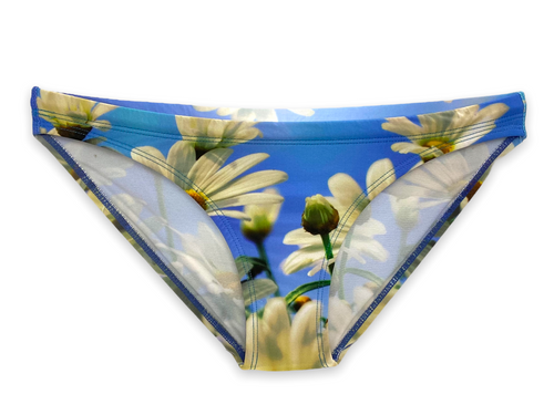 Daisy Blue